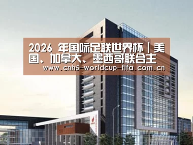 案例展示七