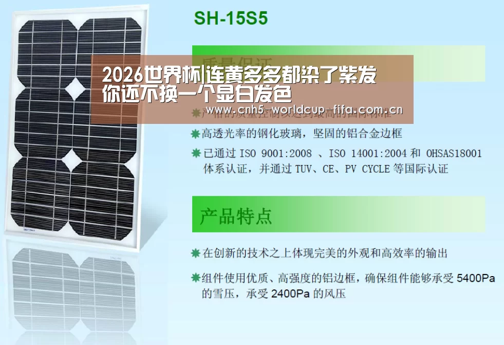2026世界杯官网