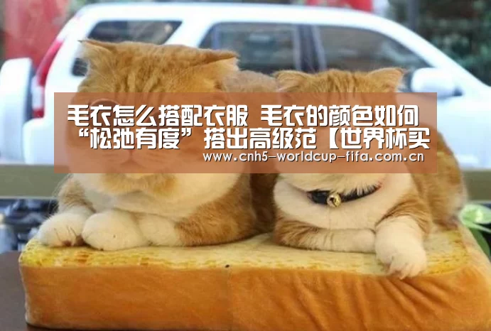 毛衣怎么搭配衣服 毛衣的颜色如何“松弛有度”搭出高级范【世界杯买球】(图2) 世界杯买球